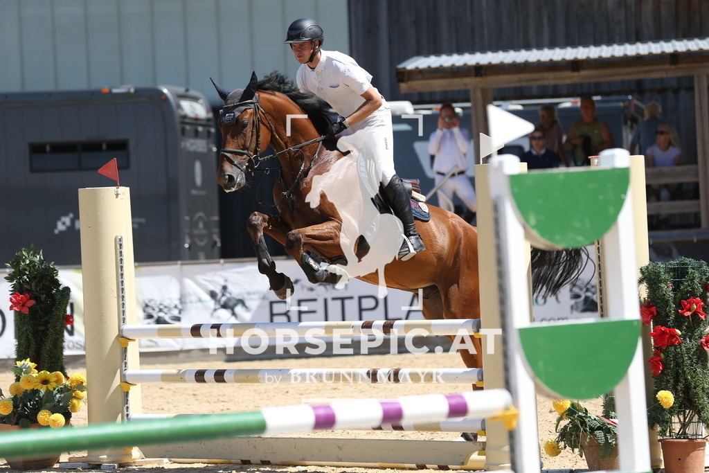 DL2Q9296 | Willkommen bei Brunnmayr - Design & Fotografie – Ihrem Spezialisten für Reitturniere und Pferdeveranstaltungen in Oberösterreich, Salzburg und Bayern! Seit über 17 Jahren sind wir leidenschaftlich dabei.