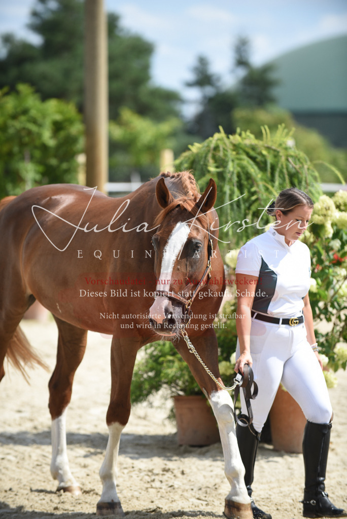 DSC_8991 | Pferde- und Turnierfotografie in Westsachsen. Pferdeportraits, Auftragszeichnungen und intuitive Kunst.