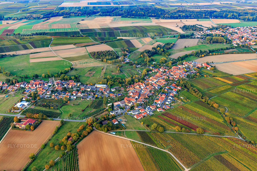 Luftbild: Ortsansicht von Süden in Oberhausen im Bundesland Rheinland-Pfalz in Deutschland. Foto: IMG_123487.jpg vom 19.10.2020 durch Werner Riehm/FLY-FOTO.de