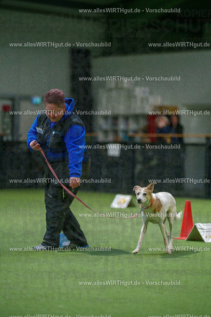 7R504514 | Professionelle Tierfotografie in Mönchengladbach von Daniel Wirth (allesWIRTHgut). Liebevolle & natürliche Bilder von Hunden & Katzen für unvergessliche Erinnerungen.