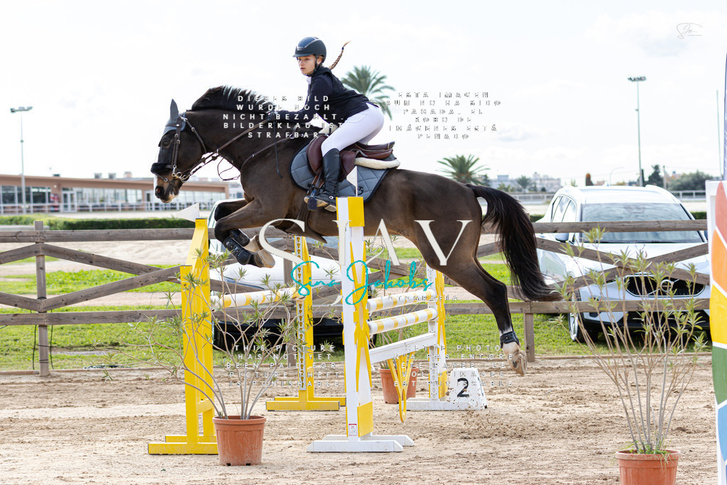 IMG_2689 | s-jay-photography - Realisiert mit Pictrs.com