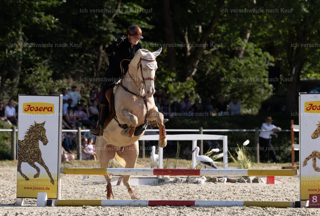 WS_SPEED_65_KerstinBernhardt-11 | working equitationturnier fotograf videograf stoibphotography marixx film working equitation deutschland reitsport turnierfotografie eventfotografie equestrian events