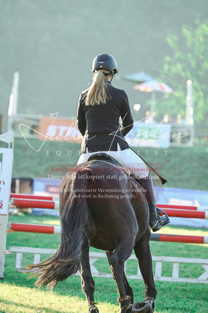 DSC_3867 | Pferde- und Turnierfotografie in Westsachsen. Pferdeportraits, Auftragszeichnungen und intuitive Kunst.