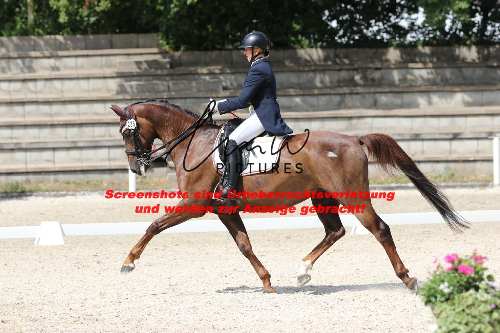 IMG_6997 | lmwpictures - Realisiert mit Pictrs.com