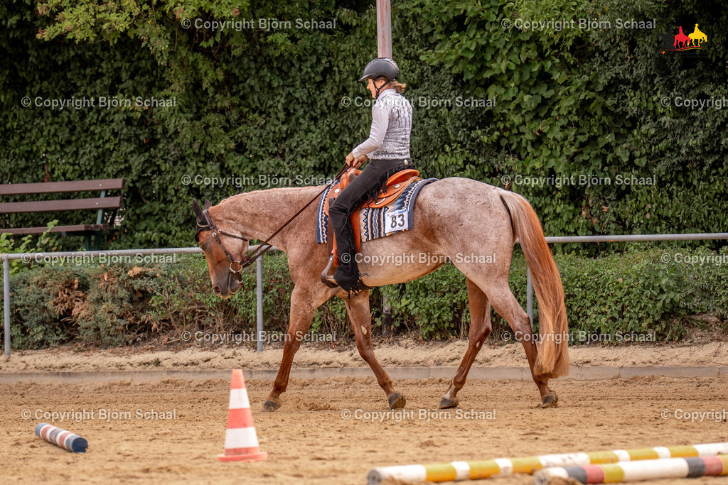 LMS07761 | BS-foto