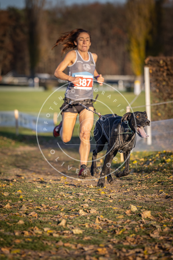 CaniXpix_DV3A4456 | Hundefotografie, Tierfotograf, Pfotenfotografie, Fotoshooting Hund, Hunde Portrait, Hundesport, Hundeportraits, Heideshooting, Hunde, Sportfotograf, Hundefotograf, Turnierhundsport, THS,  - Realisiert mit Pictrs.com