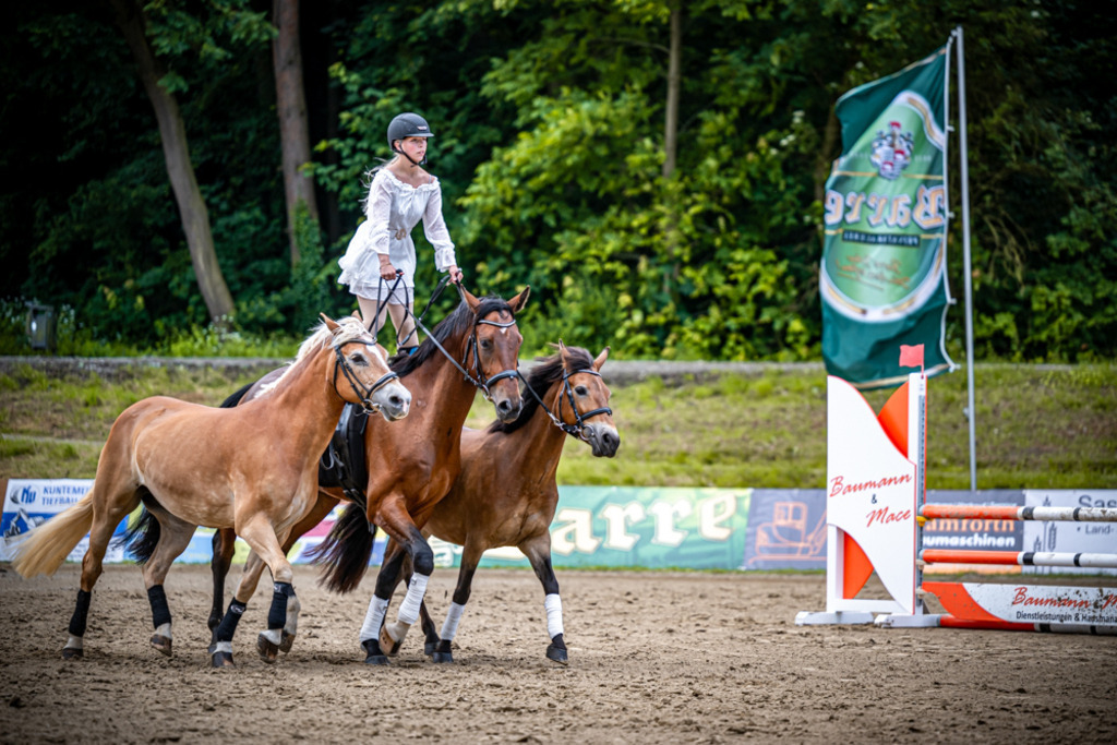 Sielturnier 2026 | Entdecke hochwertige Reitturnierfotos von Foto Oger. Professionell, emotional und authentisch – jetzt Lieblingsmomente im Shop bestellen.Deutschlandweite Turnierfotografie. - Realisiert mit Pictrs.com