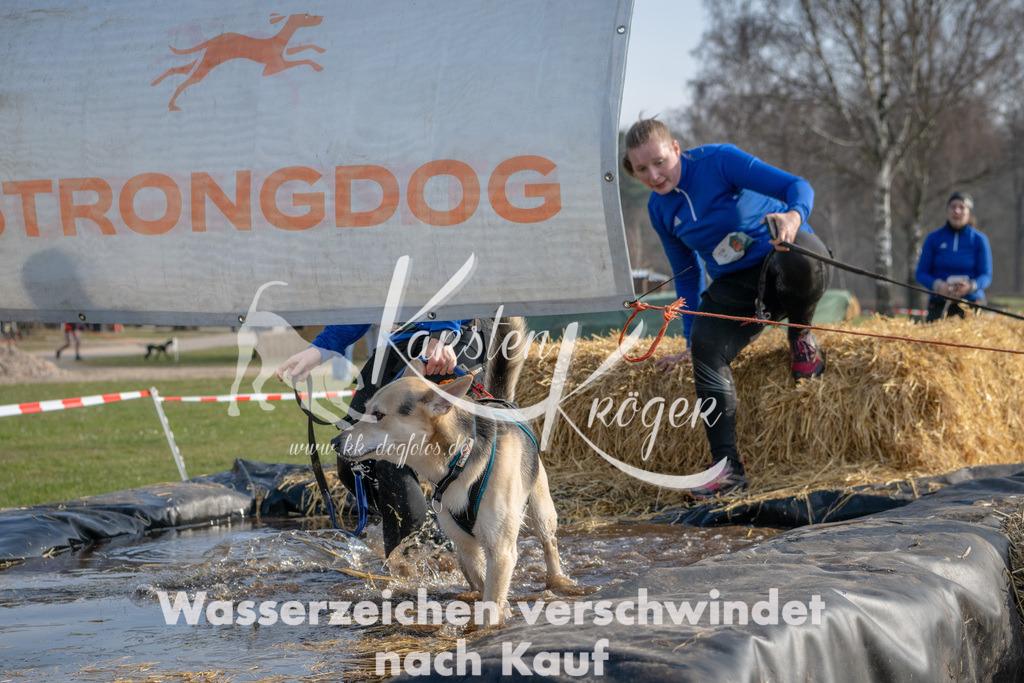 _ZZ90054 | kk-dogfotos