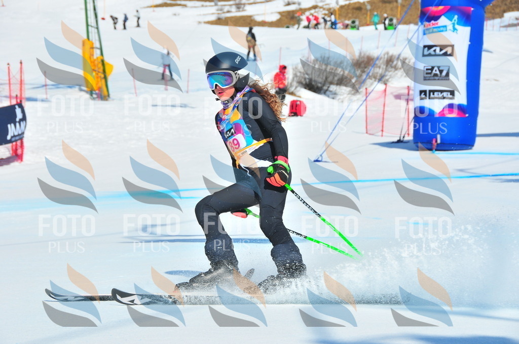 DSC_4484 | holidayphoto