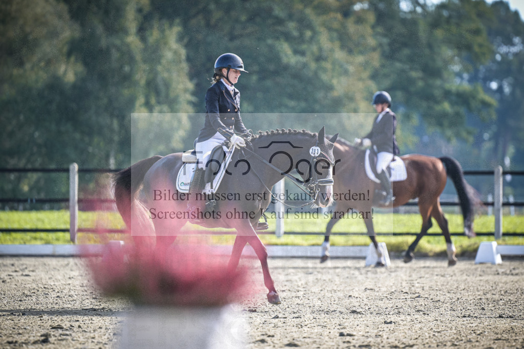 DOS_0863 | Entdecke hochwertige Reitturnierfotos von Foto Oger. Professionell, emotional und authentisch – jetzt Lieblingsmomente im Shop bestellen.Deutschlandweite Turnierfotografie. - Realisiert mit Pictrs.com