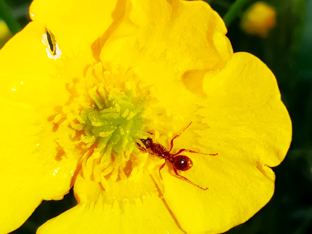 PSX_20230528_231908 | mtkfoto_ - Realisiert mit Pictrs.com