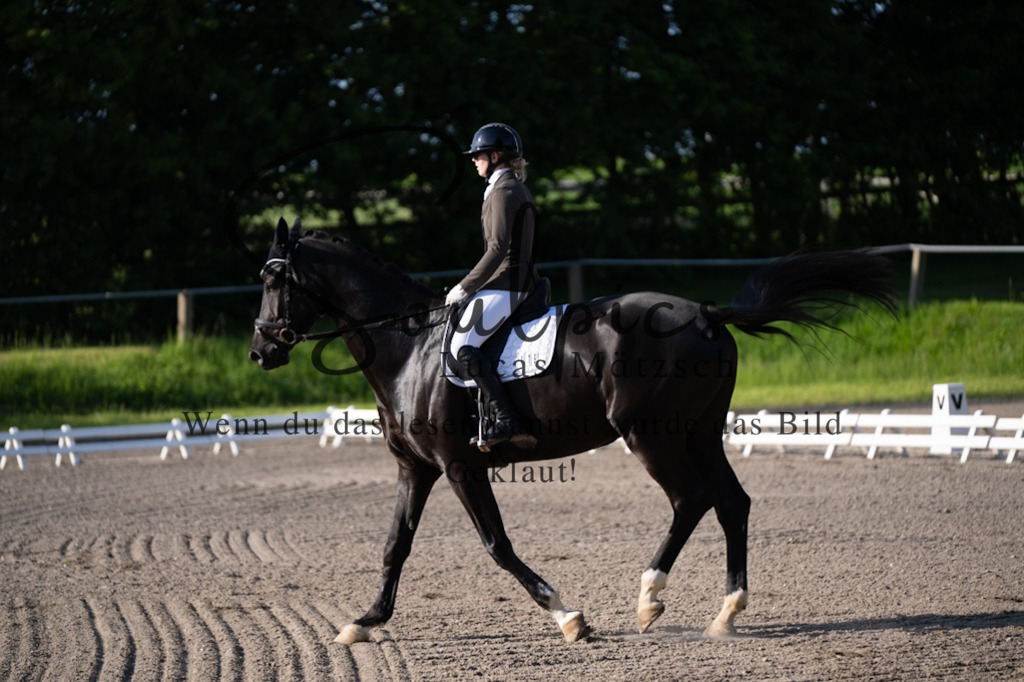 A7V02173 | Pferdefotograf