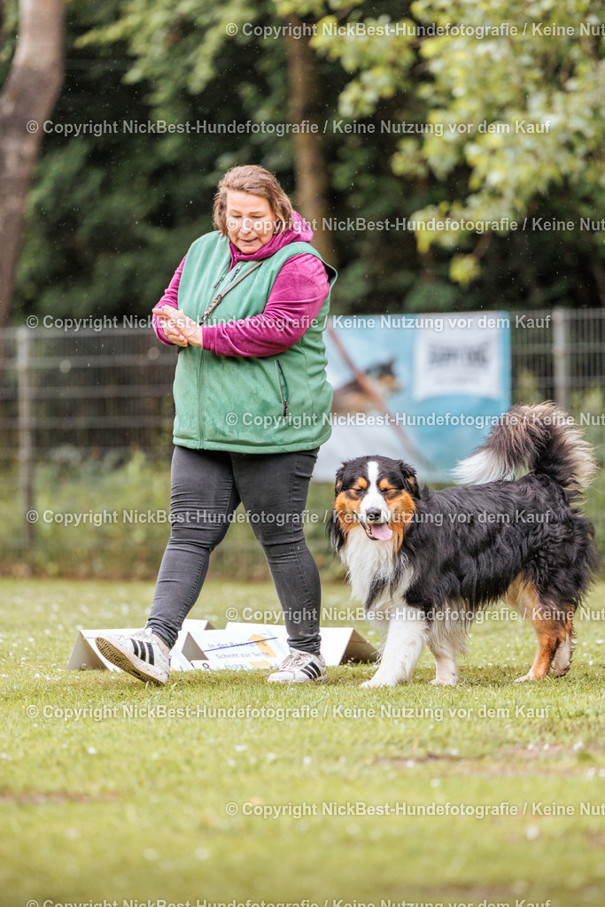 RO-Blumenthal-2026-Nickbest-Hundefotografie-0496 | Dein Hund! Dein Moment! Deine Erinnerungen! Hundefotografie in Bremen Blumenthal. Ich fange die besonderen Momente deines Vierbeiners ein – ob Indoor mit Blitzanlage oder in der freien Natur. Sicher dir dein Moment und dein Termin für eure Erinnerungen.