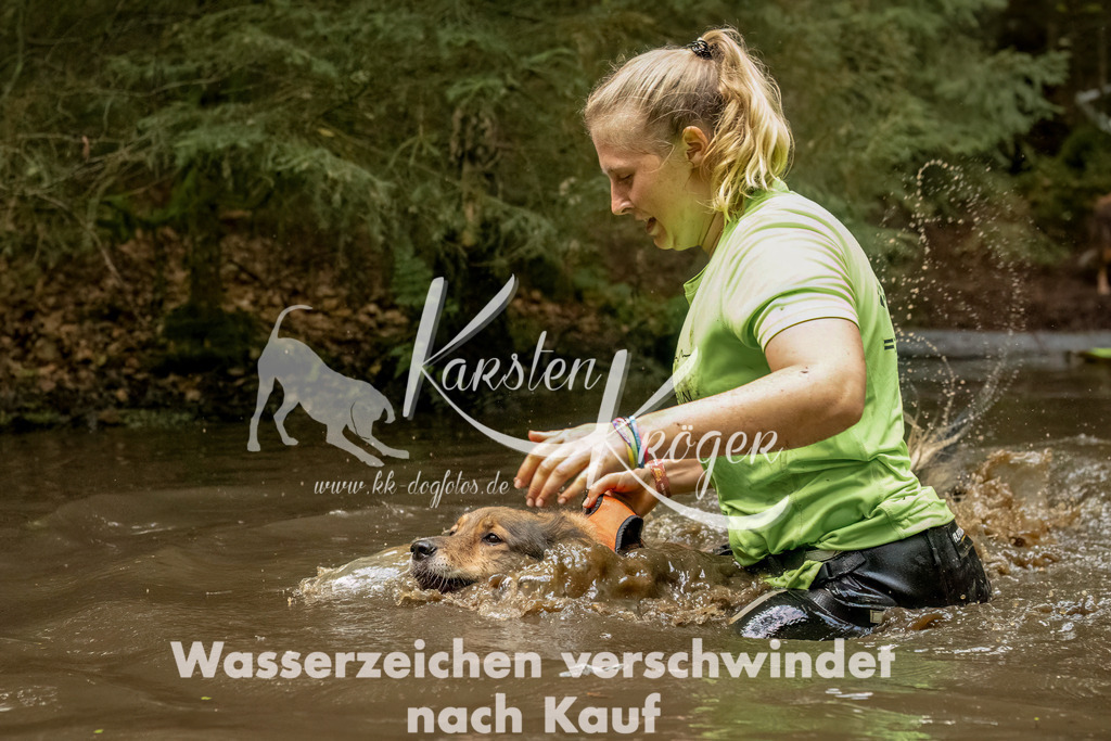 1229_ZZ94900-Bearbeitet | kk-dogfotos