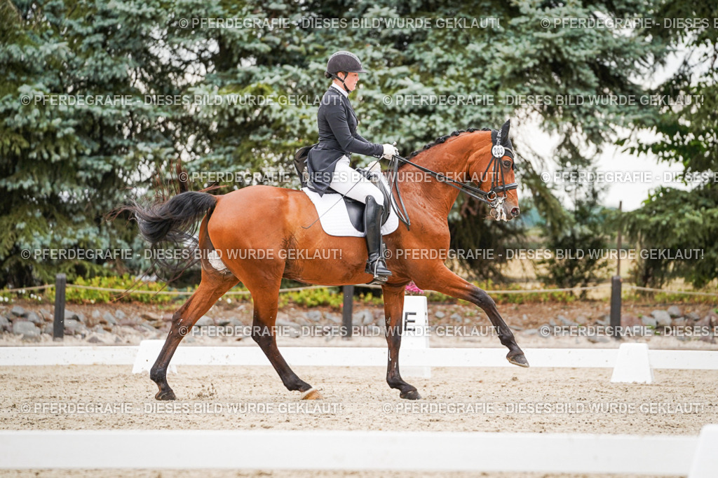 DSC07572 | Pferdegrafie