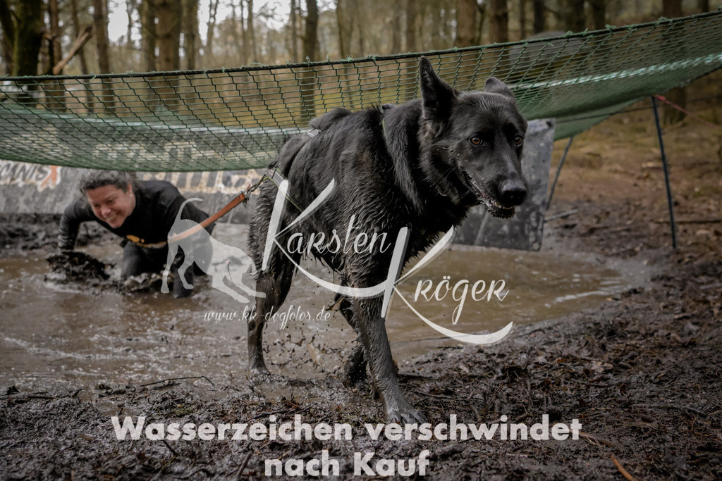 1014_ZZ90401 | kk-dogfotos