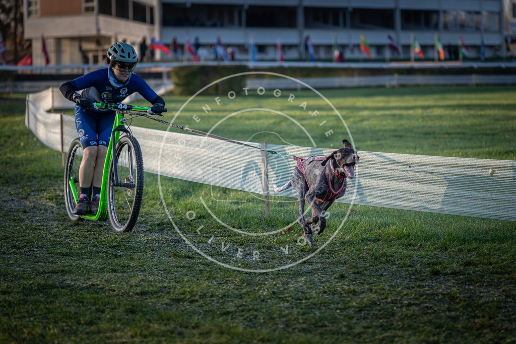 CaniXpix_0L8A1997 | Hundefotografie, Tierfotograf, Pfotenfotografie, Fotoshooting Hund, Hunde Portrait, Hundesport, Hundeportraits, Heideshooting, Hunde, Sportfotograf, Hundefotograf, Turnierhundsport, THS,  - Realisiert mit Pictrs.com