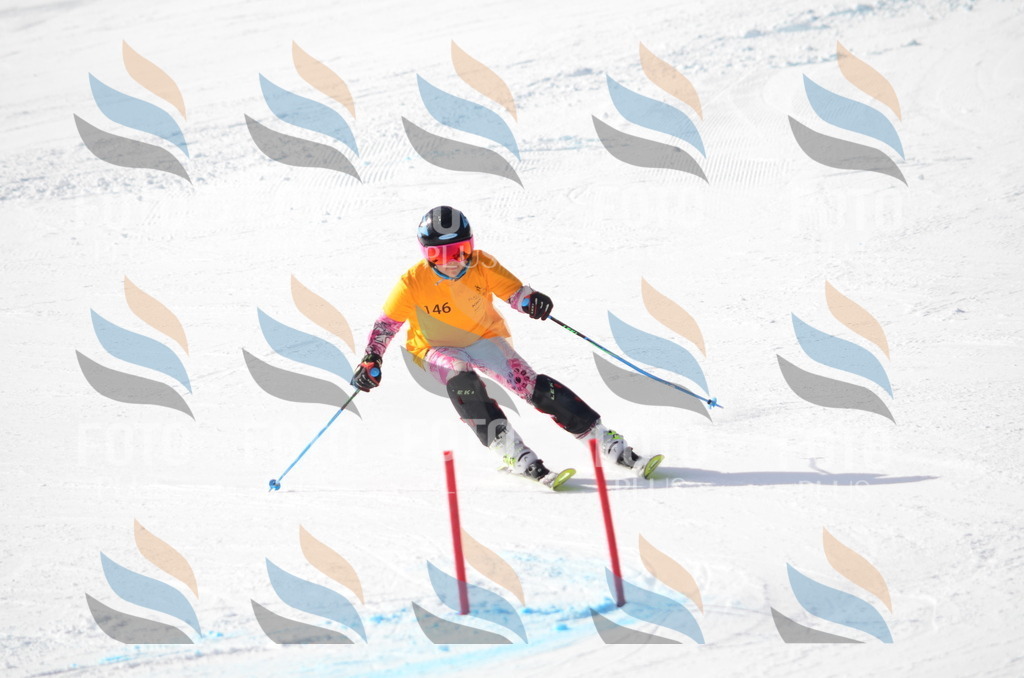 C7720 | holidayphoto