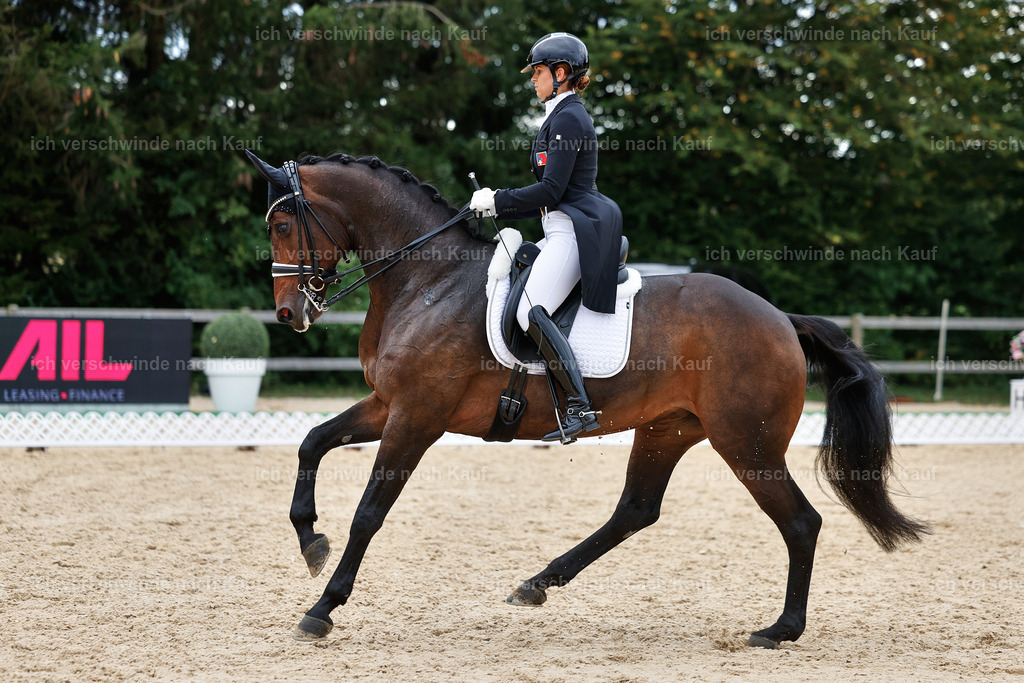 11-110-Dressur S___-StoibPH-1363 | working equitationturnier fotograf videograf stoibphotography marixx film working equitation deutschland reitsport turnierfotografie eventfotografie equestrian events