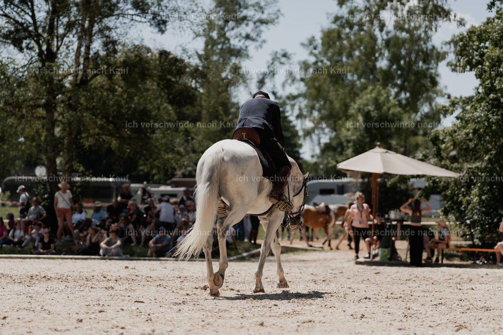 WE_SP_Stoib_327_PI2025_1942 | Pferd International München 2025