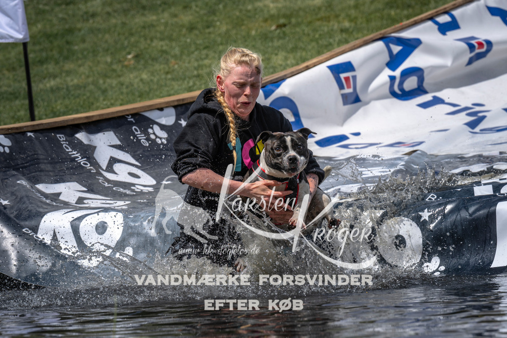 1159_ZZ94510 | kk-dogfotos