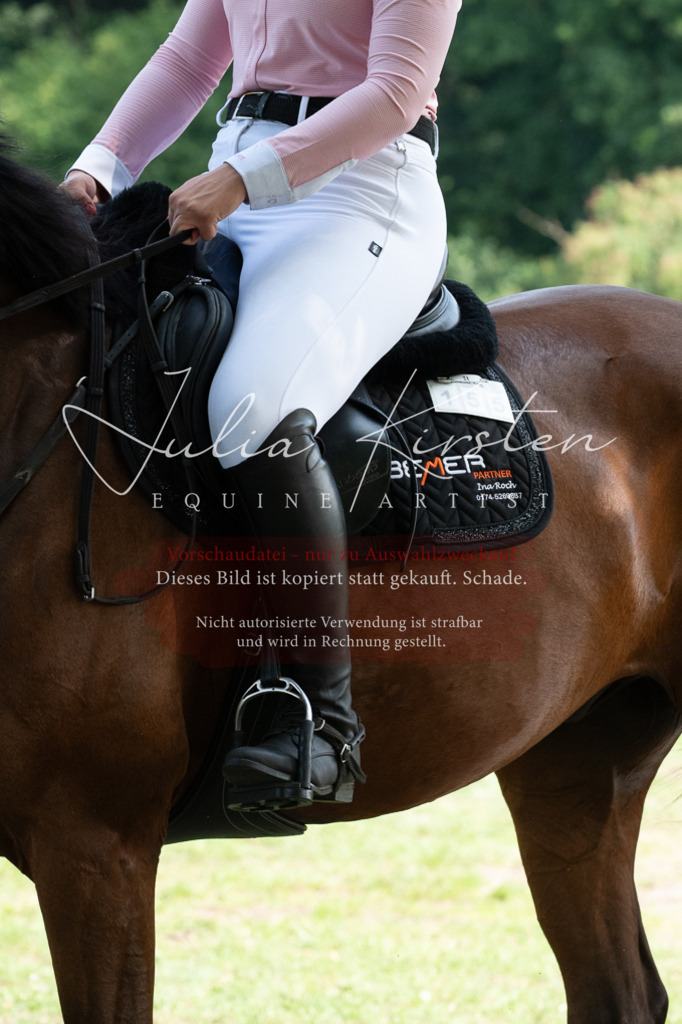 DSC_0642 | Pferde- und Turnierfotografie in Westsachsen. Pferdeportraits, Auftragszeichnungen und intuitive Kunst.