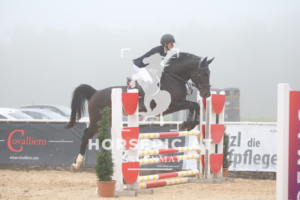 DL2Q2825 | Willkommen bei Brunnmayr - Design & Fotografie – Ihrem Spezialisten für Reitturniere und Pferdeveranstaltungen in Oberösterreich, Salzburg und Bayern! Seit über 17 Jahren sind wir leidenschaftlich dabei.