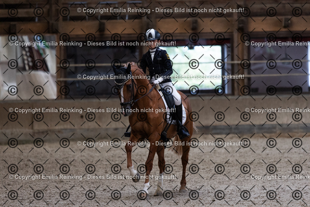 CL5A5256 | Emilia Reinking Fotografie - Realisiert mit Pictrs.com