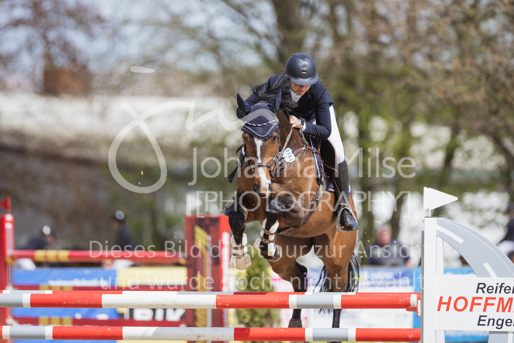 230501_SpengeW_M2St-155 | Deine schönsten Turniermomente als professionelle Fotos! Entdecke hochwertige Pferdesport-Fotografie im Online-Shop. Jetzt Fotos finden & bestellen!