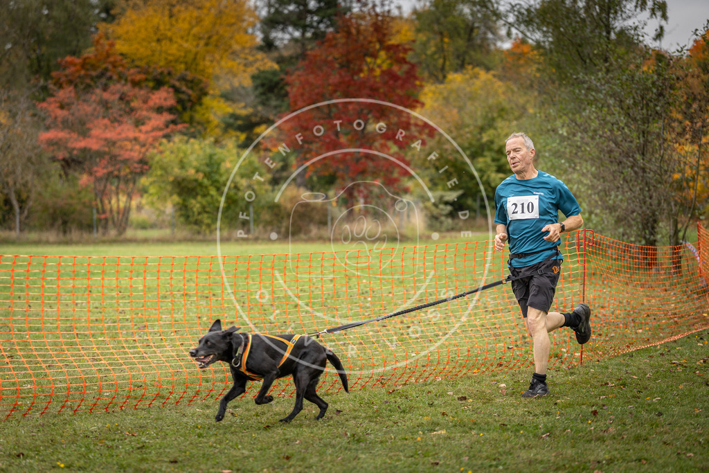 Pfotenfotografie_DV3A3974 | Hundefotografie, Tierfotograf, Pfotenfotografie, Fotoshooting Hund, Hunde Portrait, Hundesport, Hundeportraits, Heideshooting, Hunde, Sportfotograf, Hundefotograf, Turnierhundsport, THS,  - Realisiert mit Pictrs.com