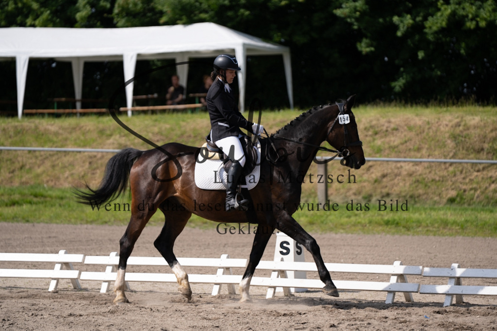 A7V02531 | Pferdefotograf