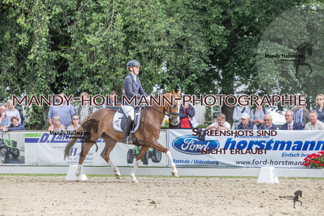 26.7.25 D2 47 (439 von 758) | mandyhollmannphotographie