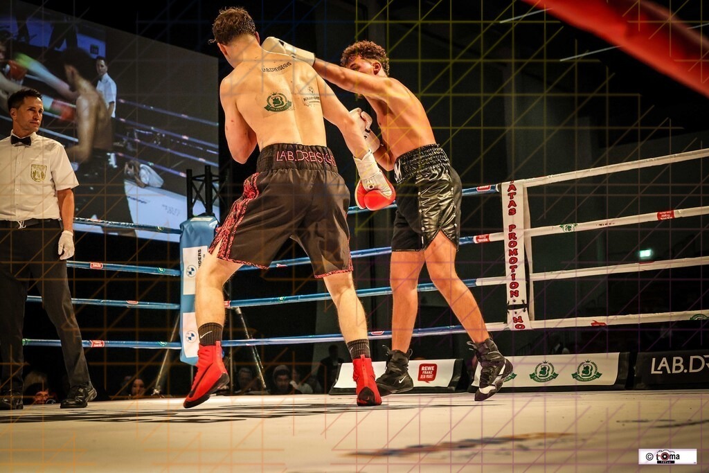 BoB 2026 Arnold vs. Faiz-46 | professionelle Sport- und Eventfotografie von Tomafocus – dynamische Bilder, emotionale Momente und hochwertige Aufnahmen für jeden Anlass. - Realisiert mit Pictrs.com