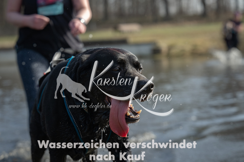 1237_ZZ91107 | kk-dogfotos