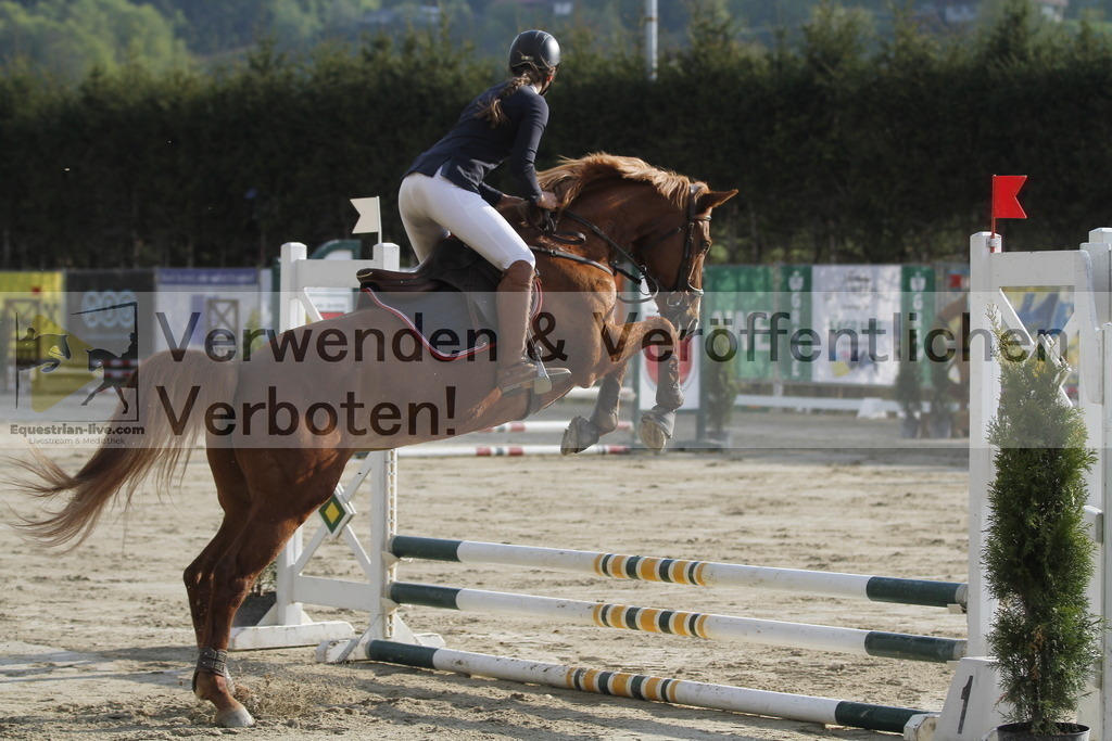 _MG_2388 | equestrian-live-com