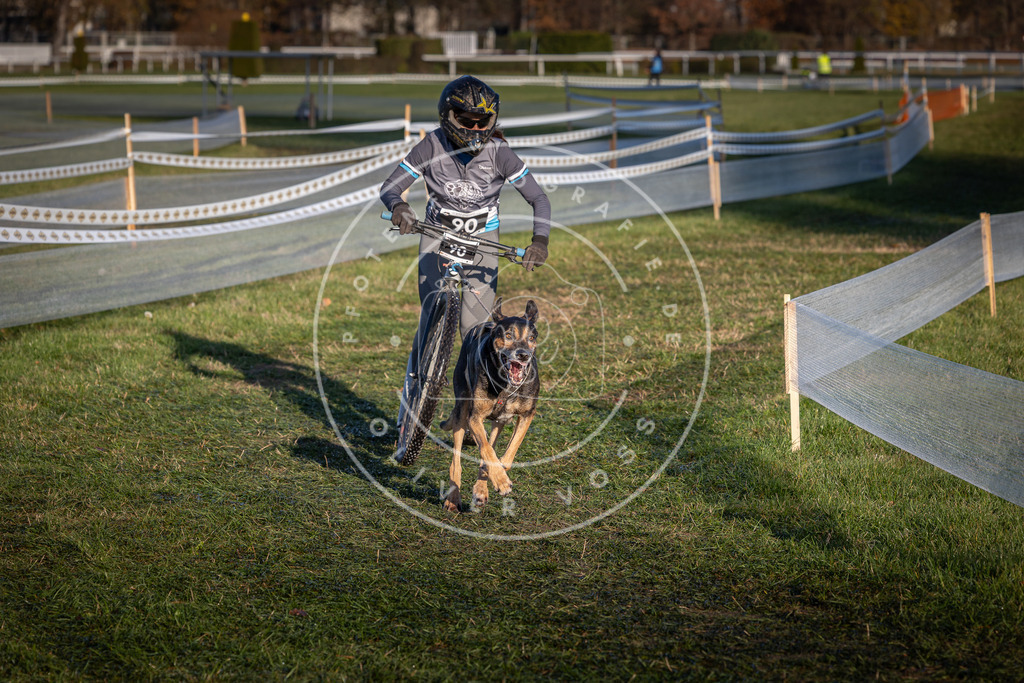 CaniXpix_0L8A3908 | Hundefotografie, Tierfotograf, Pfotenfotografie, Fotoshooting Hund, Hunde Portrait, Hundesport, Hundeportraits, Heideshooting, Hunde, Sportfotograf, Hundefotograf, Turnierhundsport, THS,  - Realisiert mit Pictrs.com