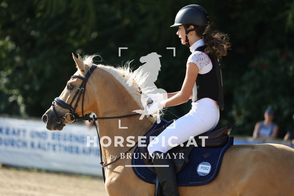 0P6A4312 | Willkommen bei Brunnmayr - Design & Fotografie – Ihrem Spezialisten für Reitturniere und Pferdeveranstaltungen in Oberösterreich, Salzburg und Bayern! Seit über 17 Jahren sind wir leidenschaftlich dabei.