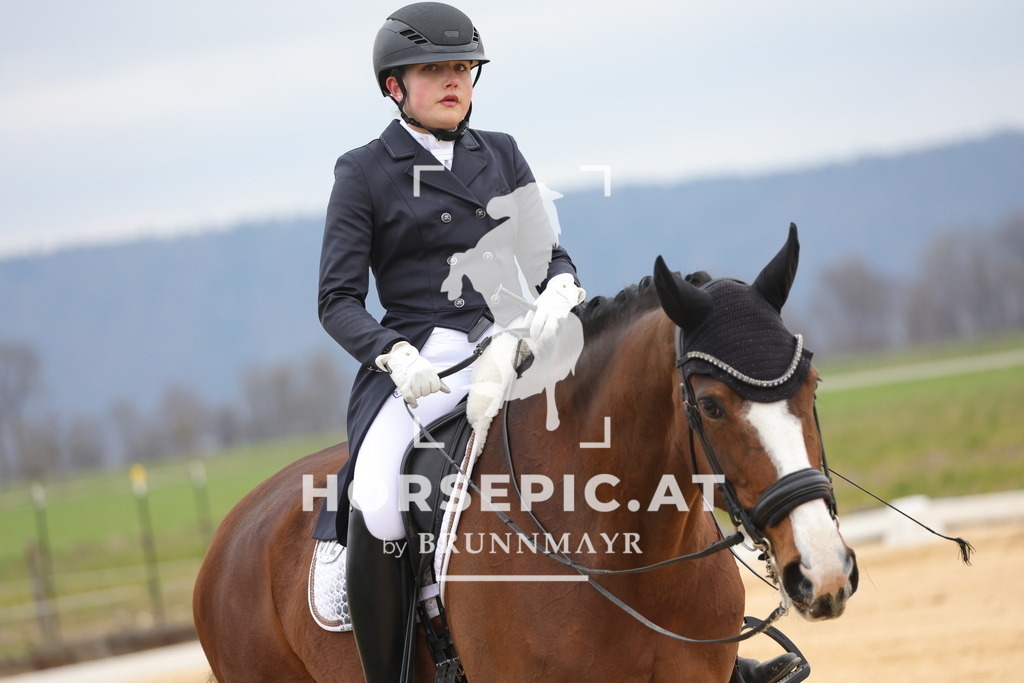 0P6A5196 | Willkommen bei Brunnmayr - Design & Fotografie – Ihrem Spezialisten für Reitturniere und Pferdeveranstaltungen in Oberösterreich, Salzburg und Bayern! Seit über 17 Jahren sind wir leidenschaftlich dabei.