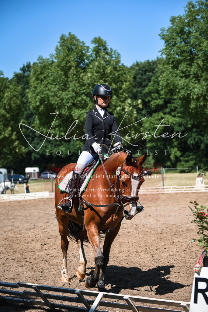 DSC_3423 | Pferde- und Turnierfotografie in Westsachsen. Pferdeportraits, Auftragszeichnungen und intuitive Kunst.