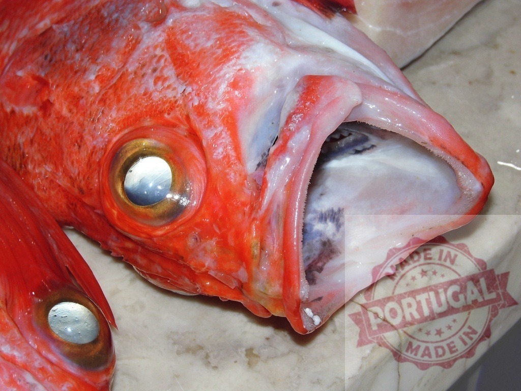 Fresh red snapper fish head with open mouth | Red snapper fish head displaying freshness and detail on a market stall - Realized with Pictrs.com