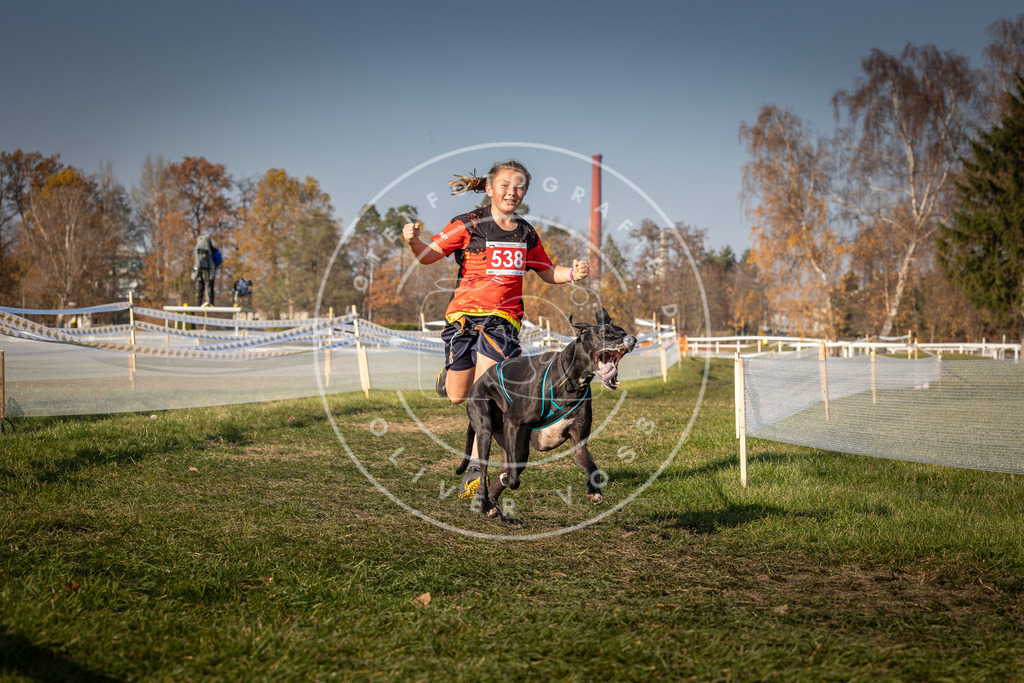 CaniXpix_0L8A9010 | Hundefotografie, Tierfotograf, Pfotenfotografie, Fotoshooting Hund, Hunde Portrait, Hundesport, Hundeportraits, Heideshooting, Hunde, Sportfotograf, Hundefotograf, Turnierhundsport, THS,  - Realisiert mit Pictrs.com