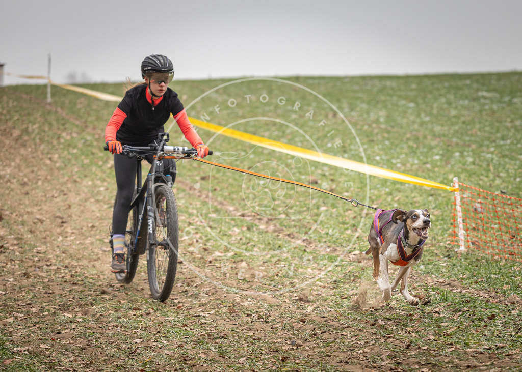 Pfotenfotografie_DV3A2655 | Hundefotografie, Tierfotograf, Pfotenfotografie, Fotoshooting Hund, Hunde Portrait, Hundesport, Hundeportraits, Heideshooting, Hunde, Sportfotograf, Hundefotograf, Turnierhundsport, THS,  - Realisiert mit Pictrs.com