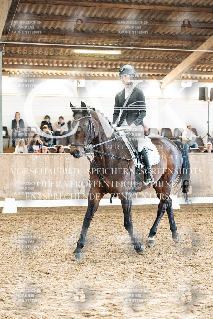 CK909975 | Turnierfotografie Pferdefotografie Trier Rheinland-Pfalz Pferdesport Reitsport Tierfotografie Sportfotografie Pferdevideo Pferdevideografie Equestrianvideography equestrianphotography  - Realisiert mit Pictrs.com