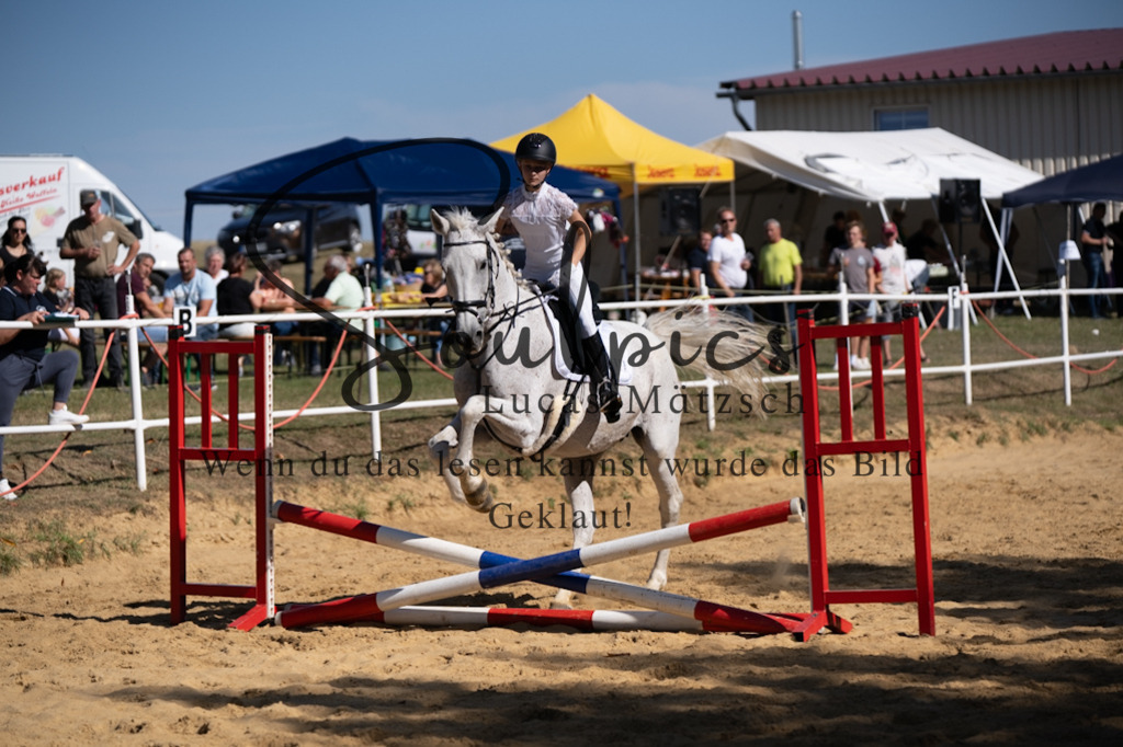 A7V02250 | Pferdefotograf