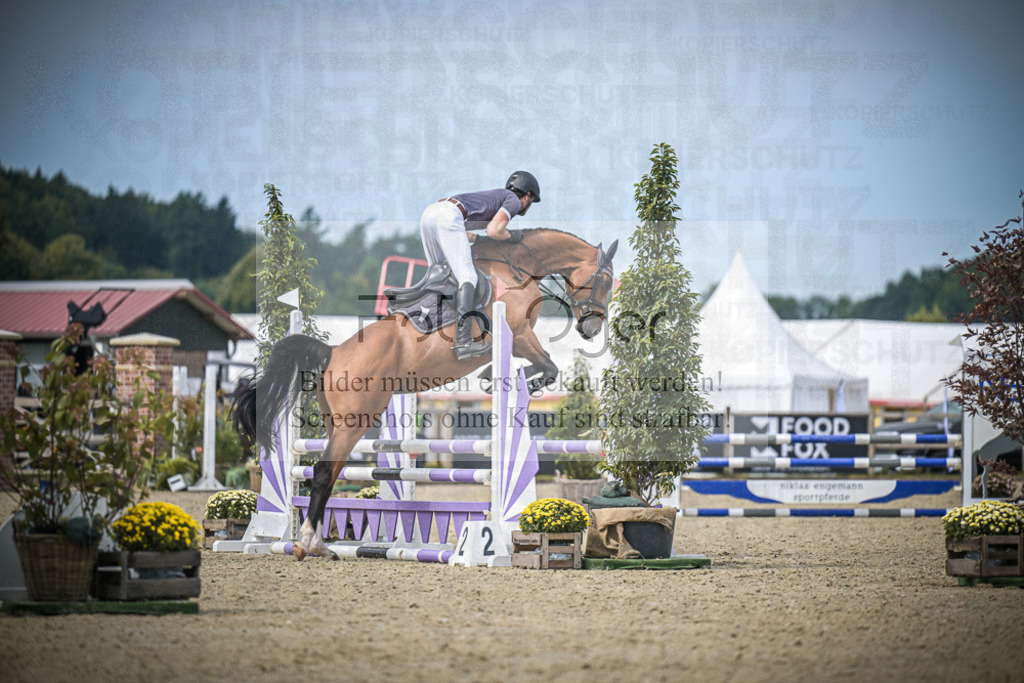 DOS_4315 | Entdecke hochwertige Reitturnierfotos von Foto Oger. Professionell, emotional und authentisch – jetzt Lieblingsmomente im Shop bestellen.Deutschlandweite Turnierfotografie. - Realisiert mit Pictrs.com
