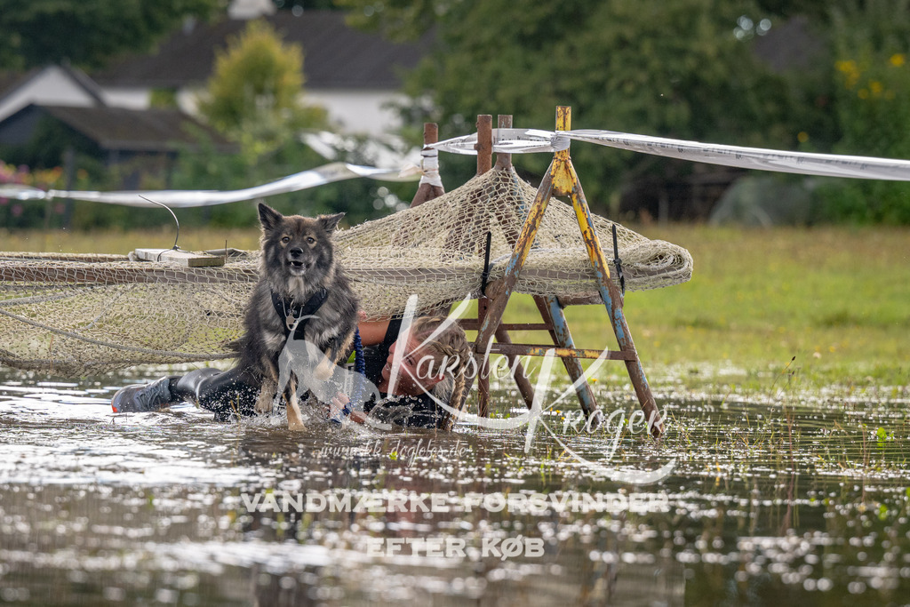 1354_ZZ90342 | kk-dogfotos