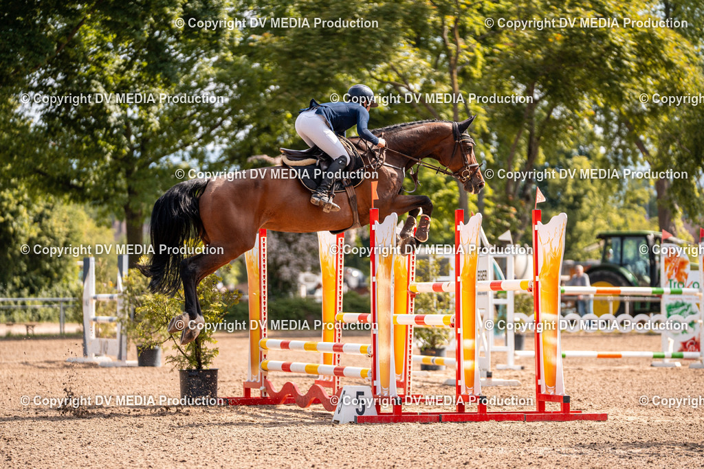 Eppelheim Tag 3-341 | dv-media-shop - Realisiert mit Pictrs.com