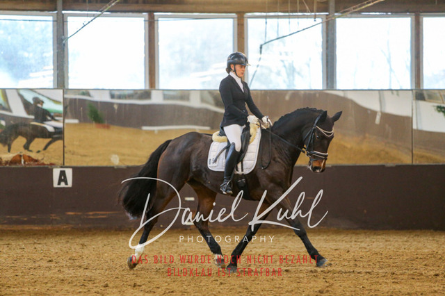 IMG_7660 | Turniersportfotografie; Pferdefotografie; Dressurfotografie