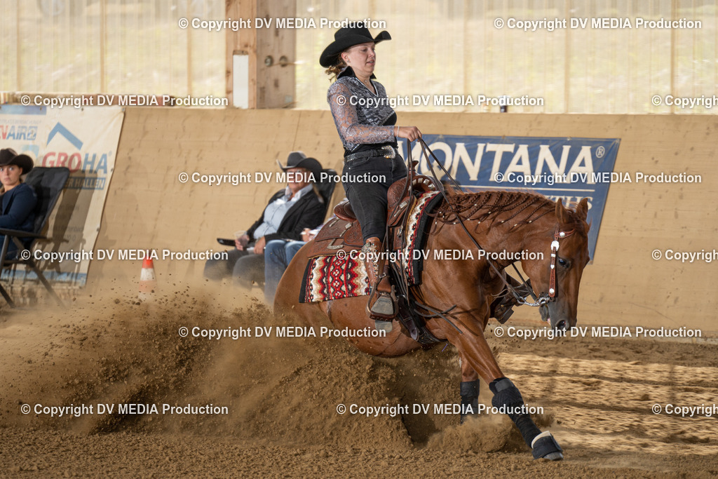 LAU01777 | dv-media-shop - Realisiert mit Pictrs.com