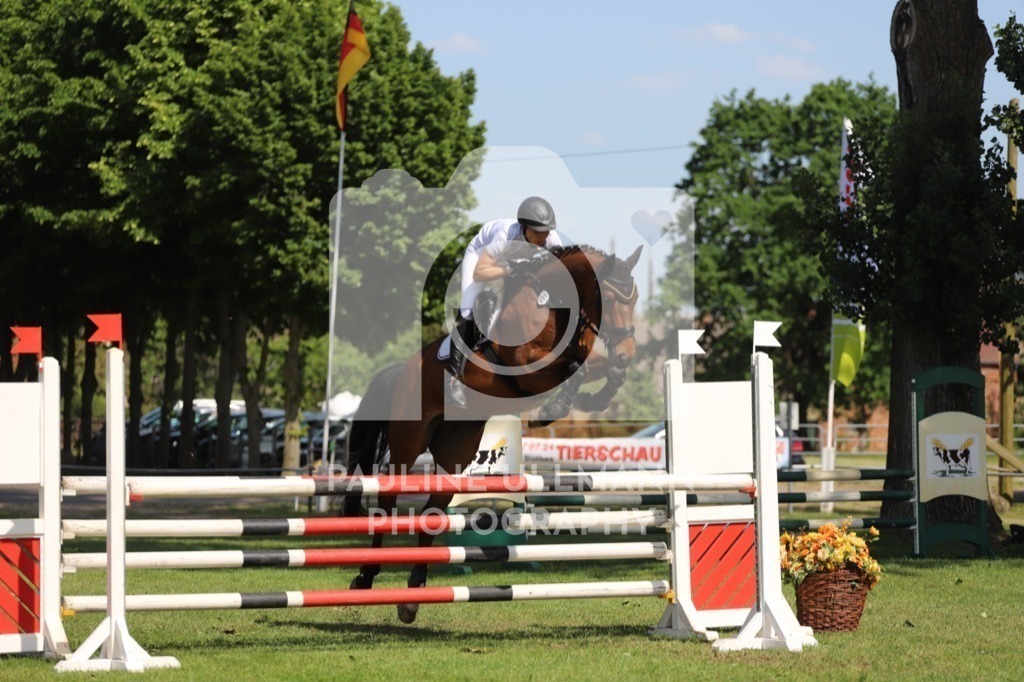 IMG_6515 | Pauline Ullmann Photography - Realisiert mit Pictrs.com